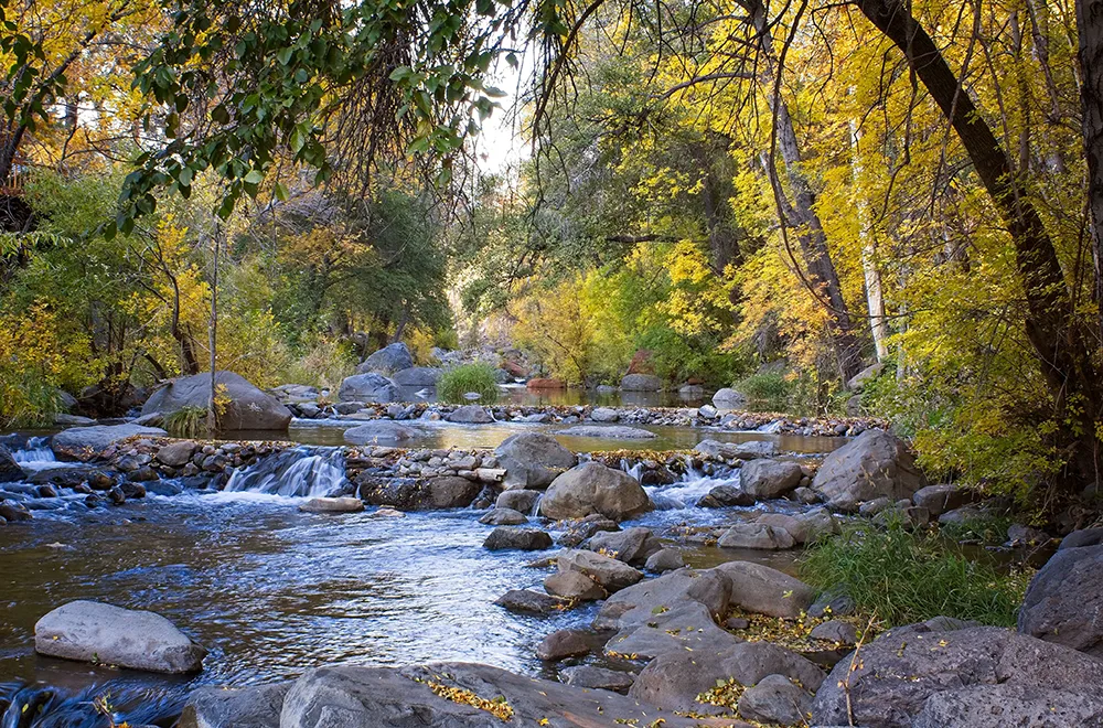 an image of a creek