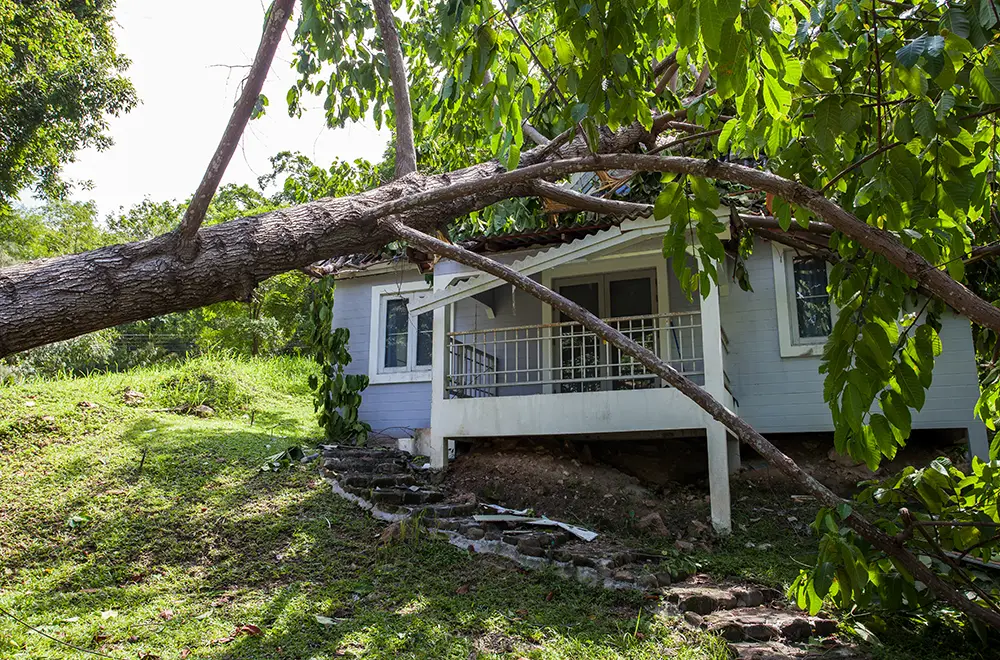 residential-commercial-damage residential-commercial-damage