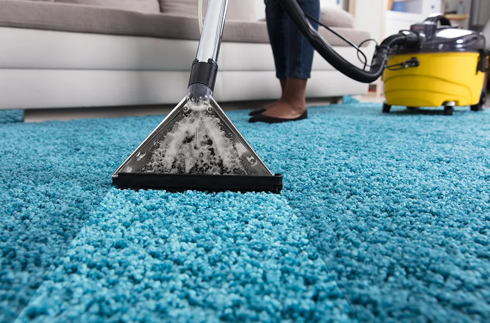 cleaning-carpet a person cleaning a carpet with a water vacuum cleaner