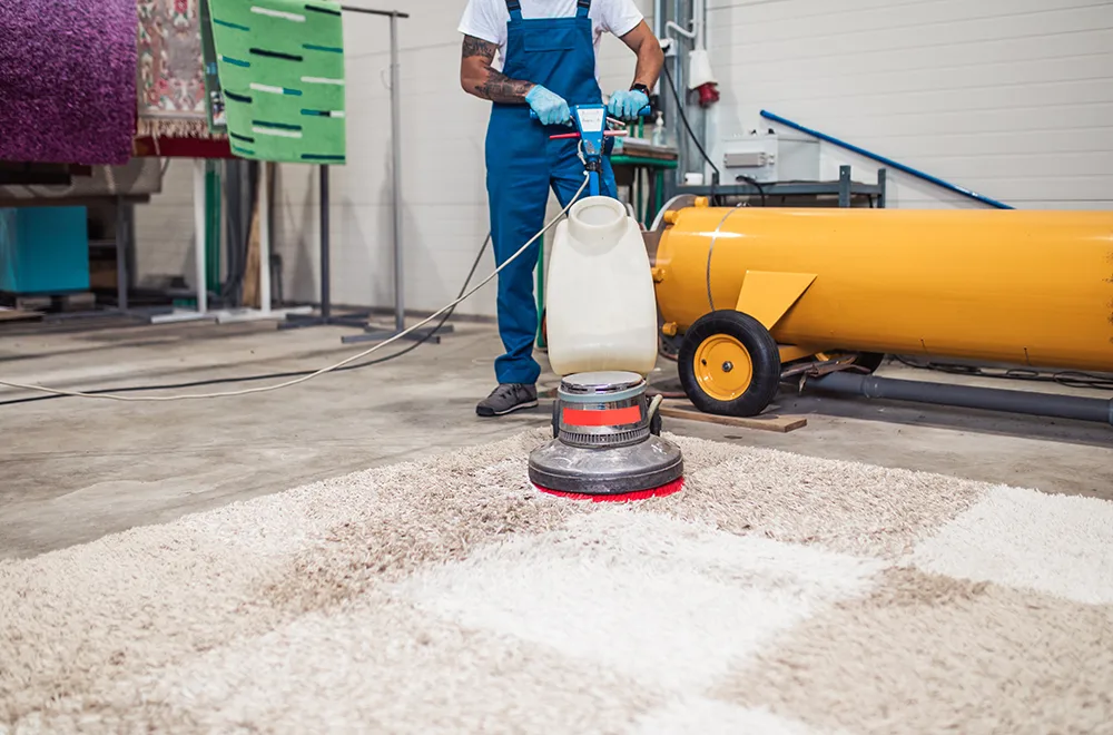 carpet-cleaning a worker cleaning a carpet with a special cleaner