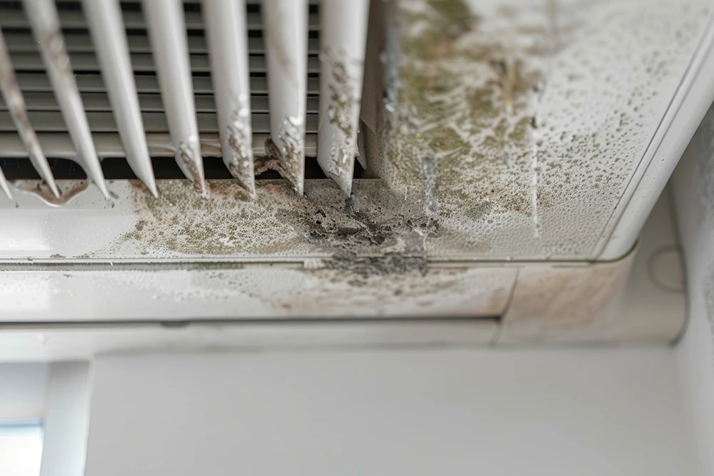 mold on a ac unit