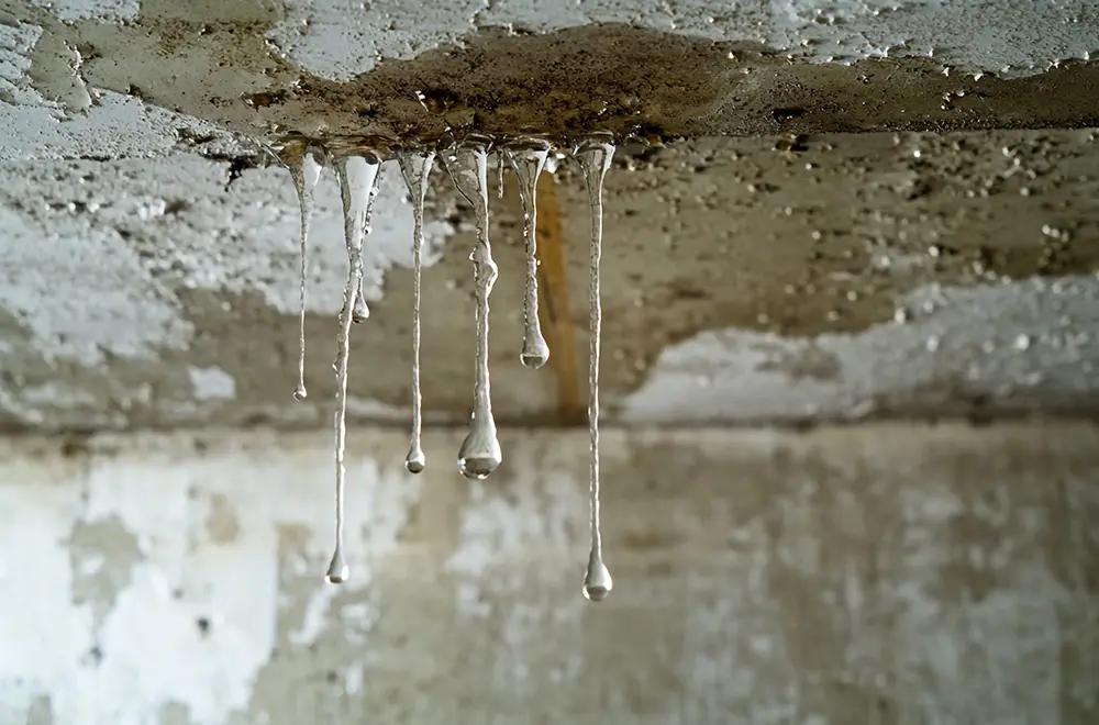 leaky-roof