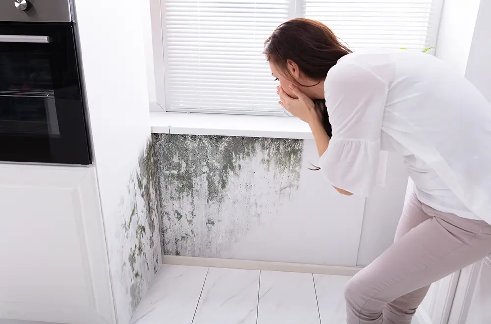 mold-in-house home owner finding mole in her house
