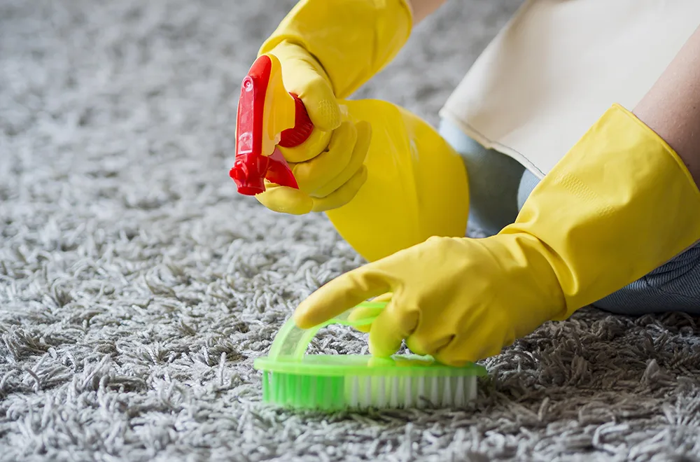 carpet-cleaning-1 a person using a brush and spray bottle to clean a carpet
