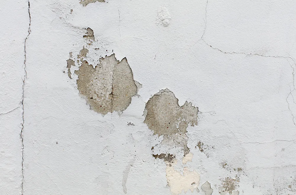 hidden-moisture damage on a house wall due to seepage