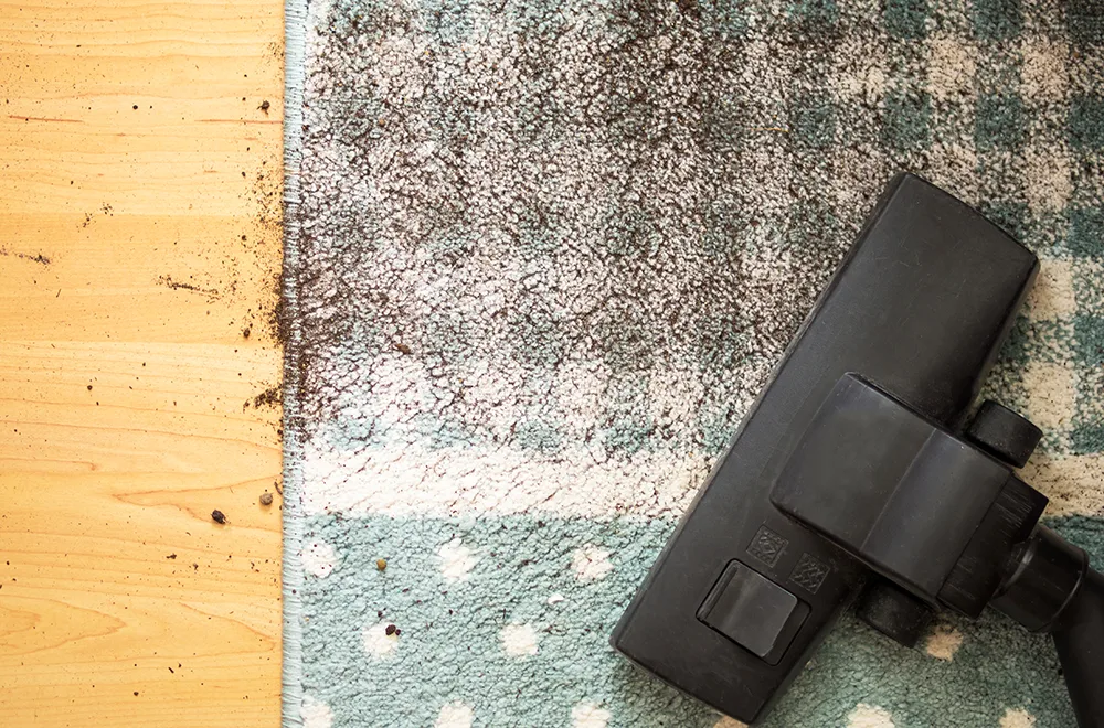 a vacuum cleaner cleaning dirt off a carpet