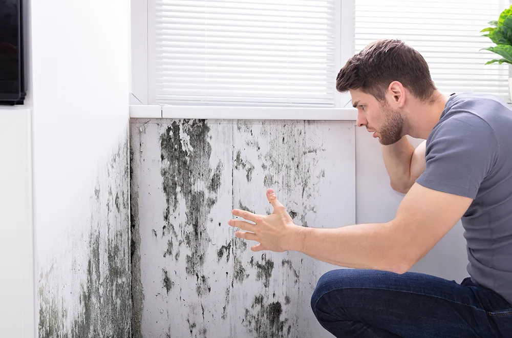 mold person looking at mold growing on the wall in his house