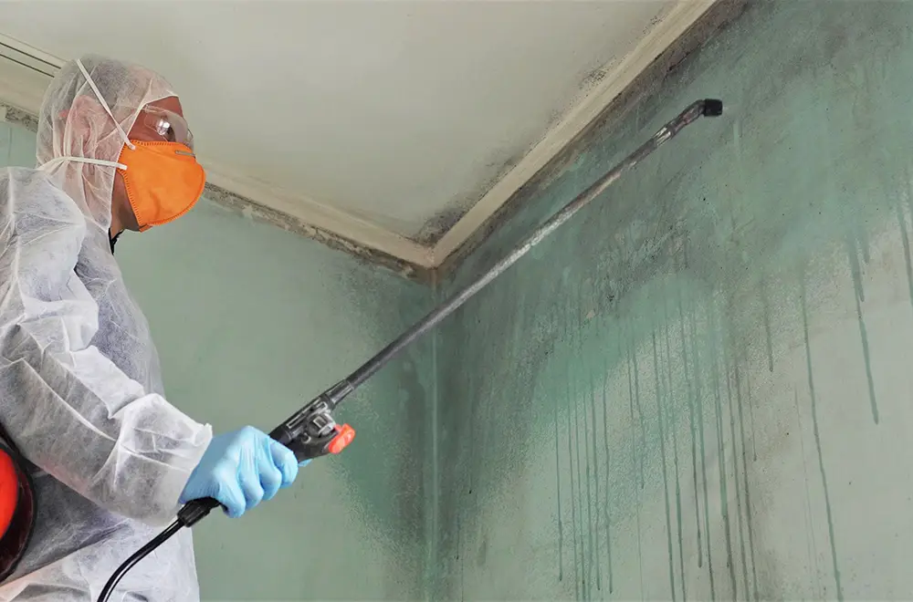 spraying anti mold solution on a wall