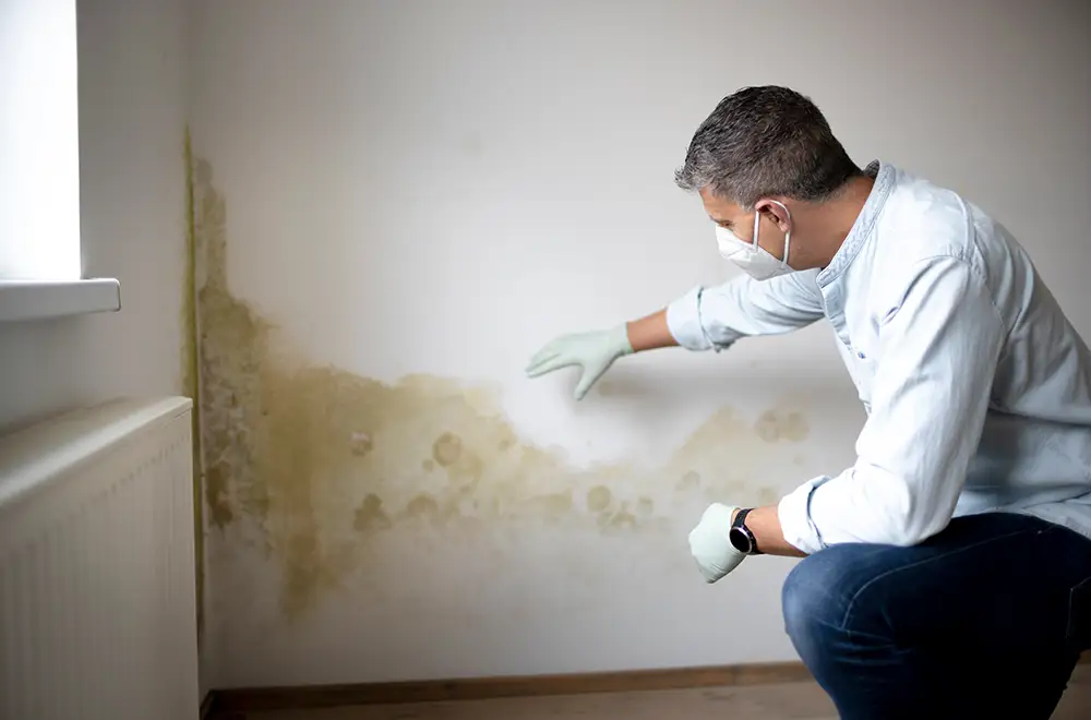 contamination remedies