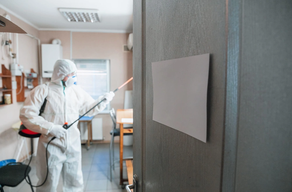mold removal spray