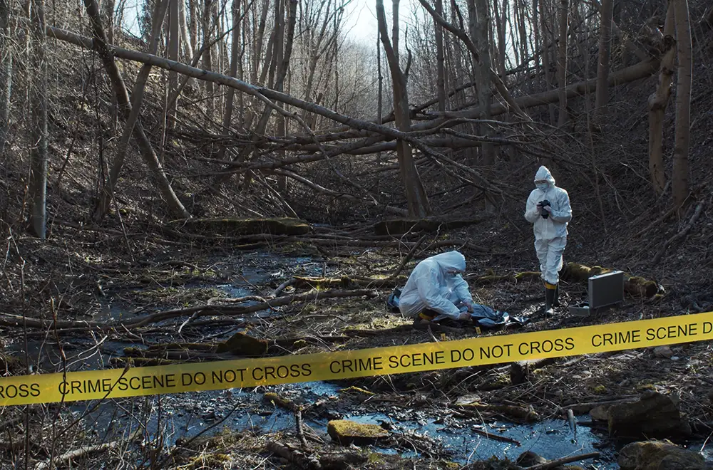 suicide-death body in the woods