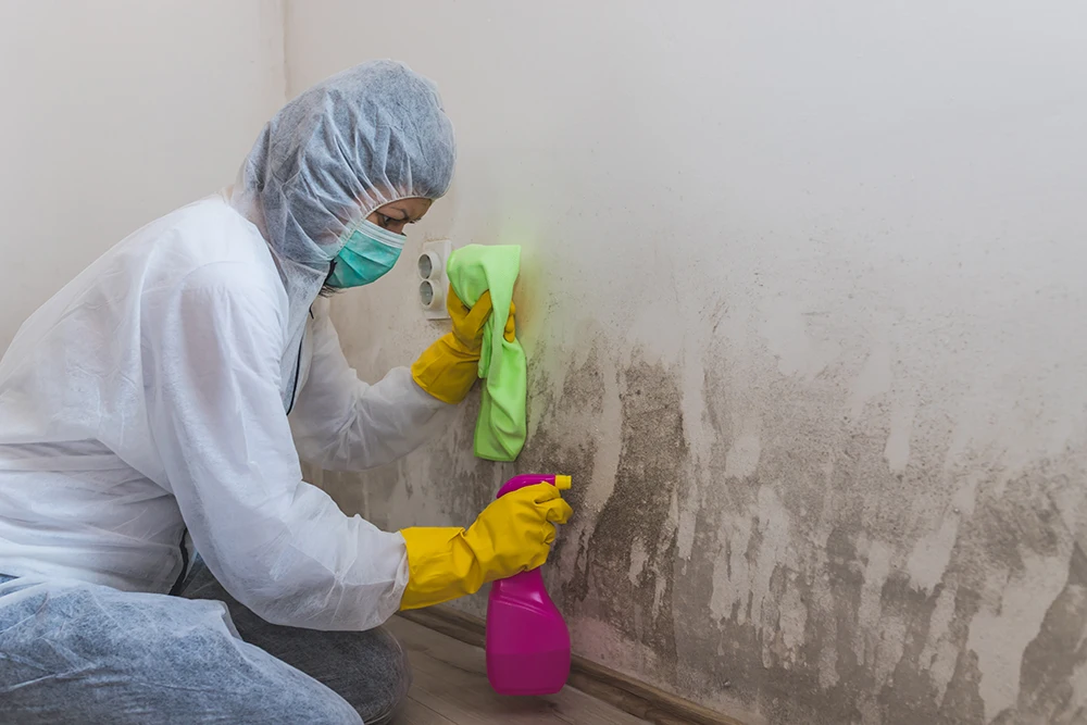 key-commercial-residential-services a cleaner cleaning mold of off a wall