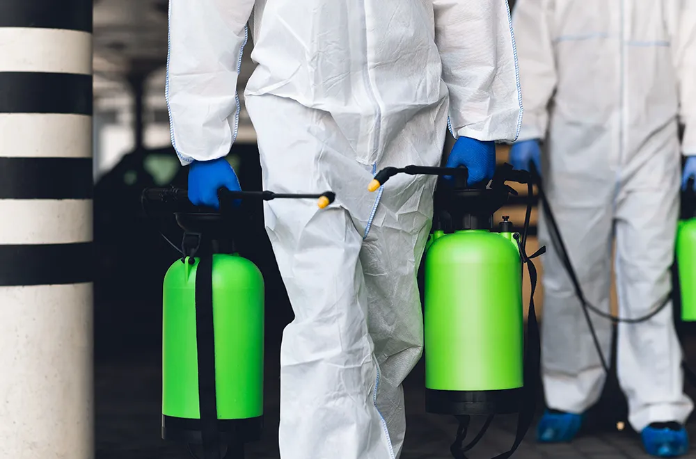 mold-removal-team a mold removal team