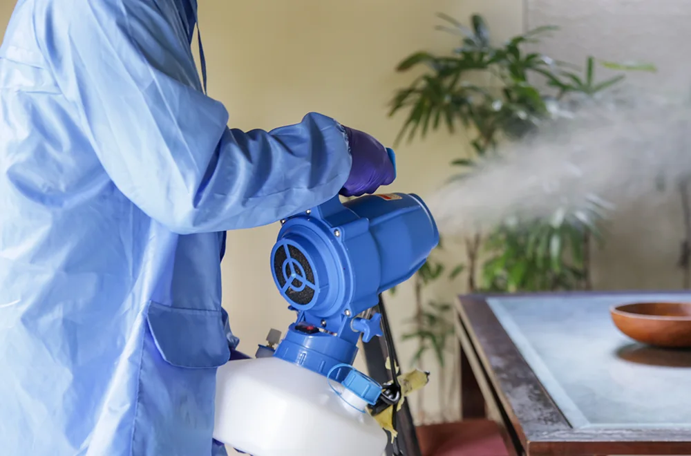 using odor gun to remove odor