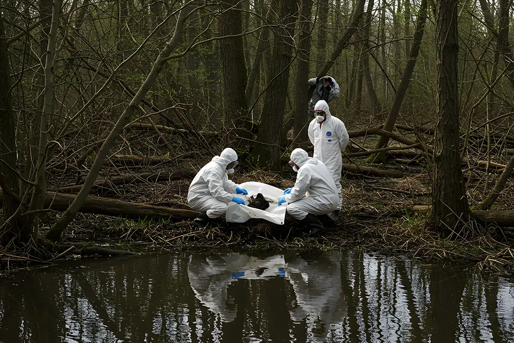 crime scene cleanup crew picking up a body