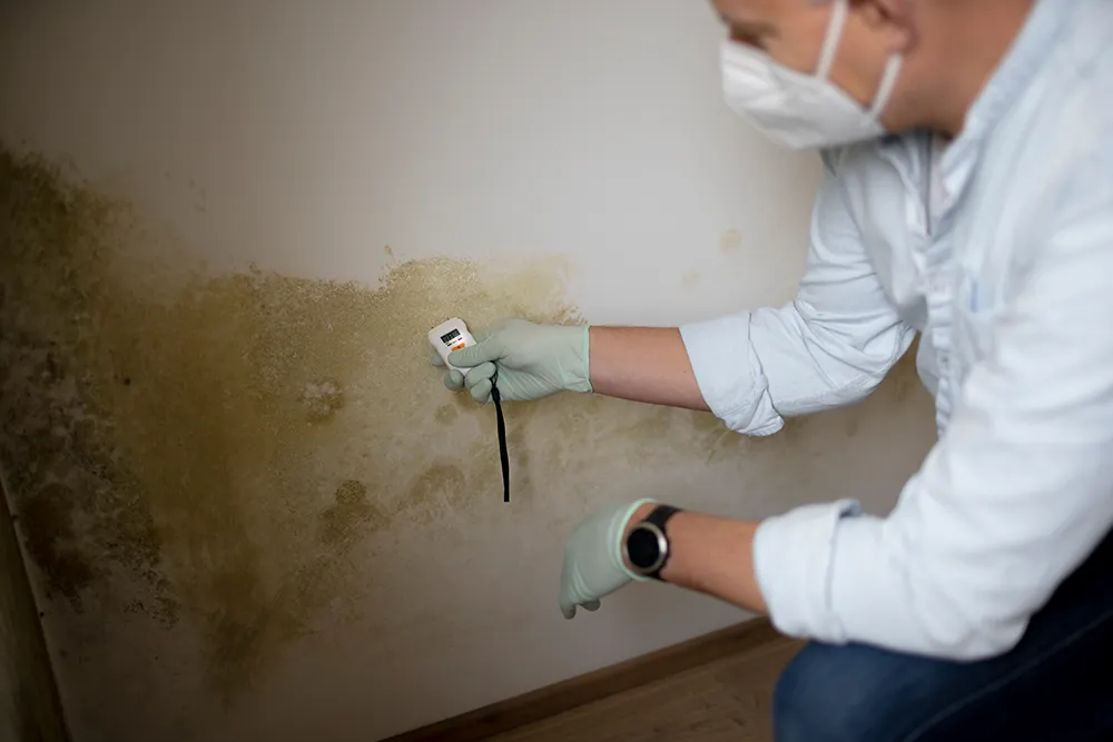 a man scanning mold on a wall