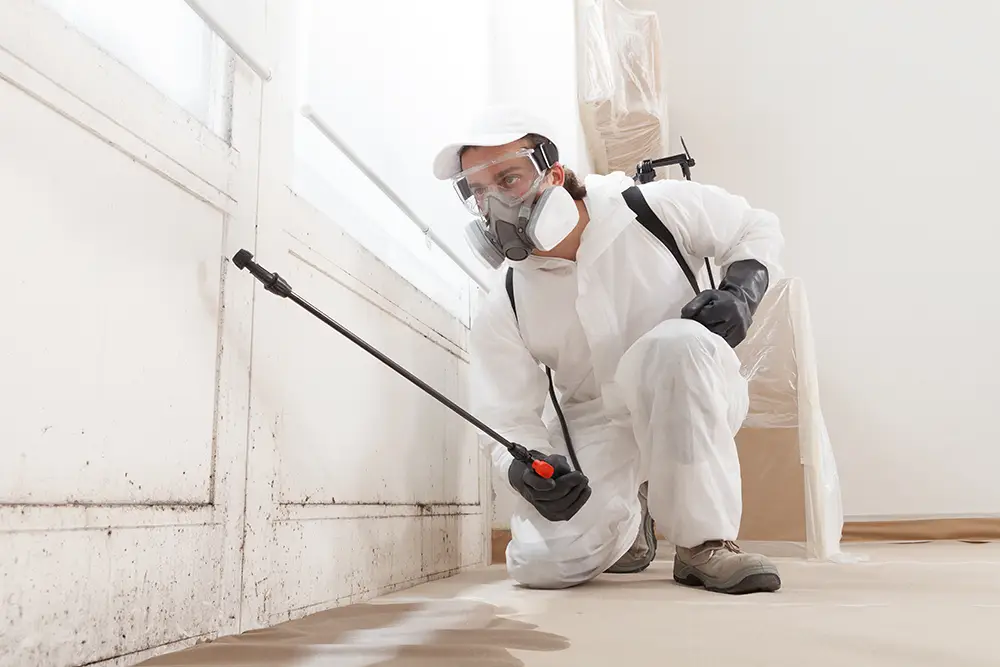 worker spraying anti-mold spray