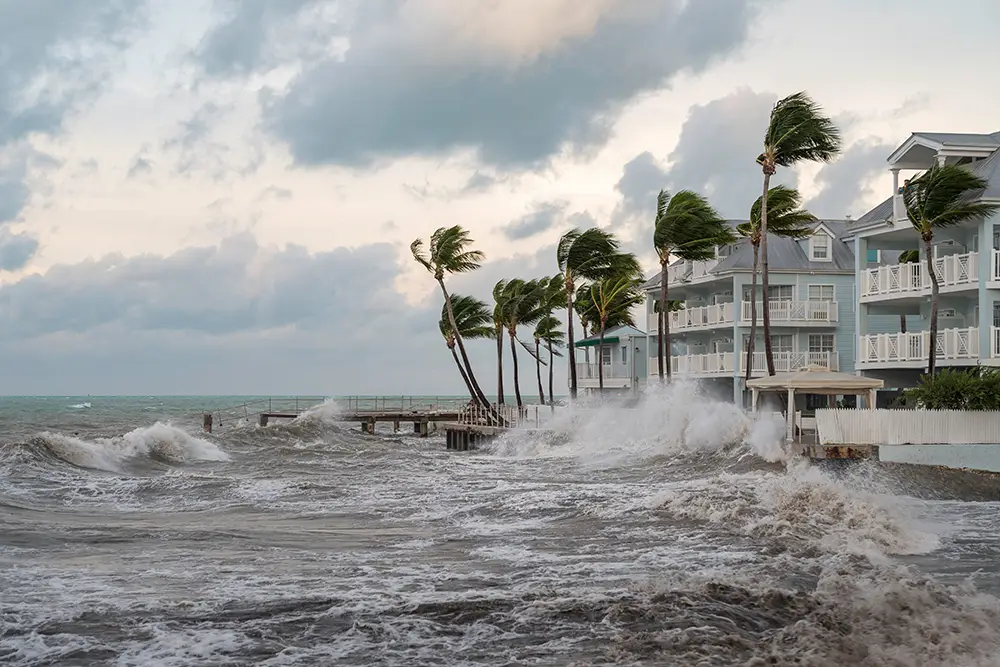a wave crashing into the shore