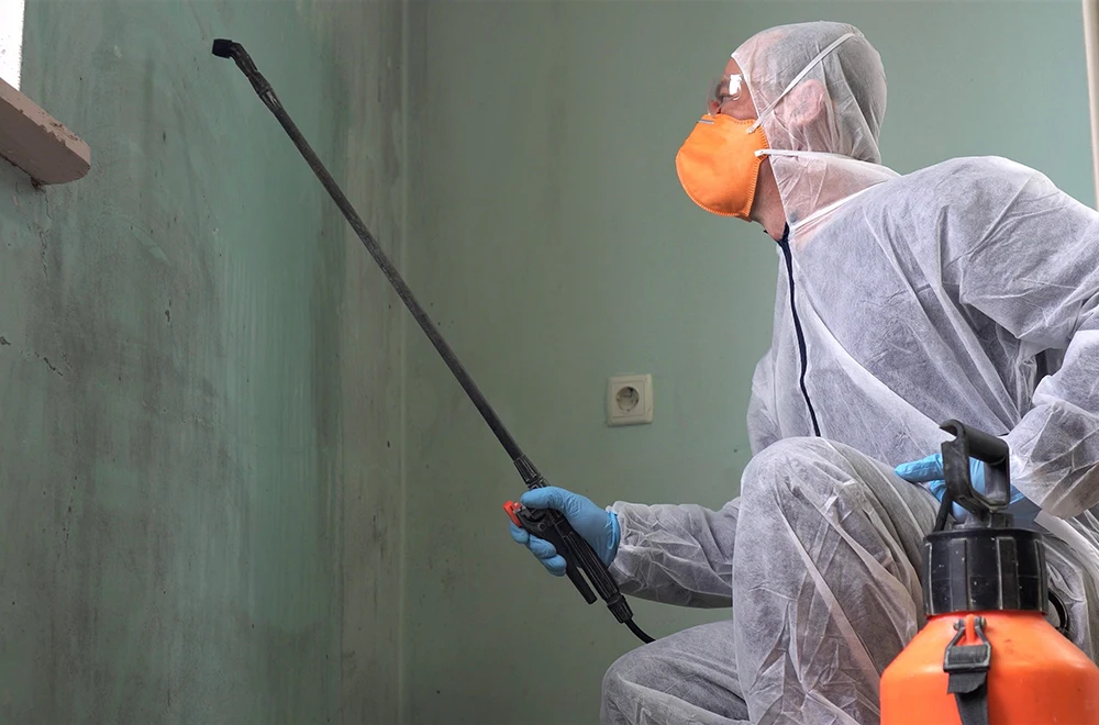 restore-your-home a person spraying pesticide on a wall