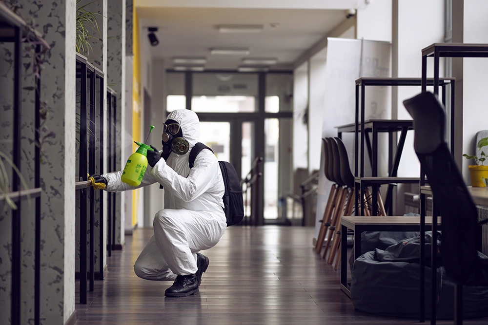 man spraying pesticide in a commercial office