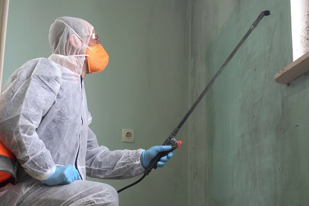 man spraying pesticide on wall
