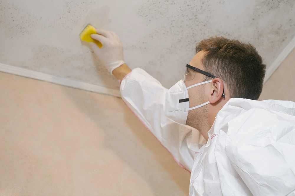 man cleaning mold of a roof