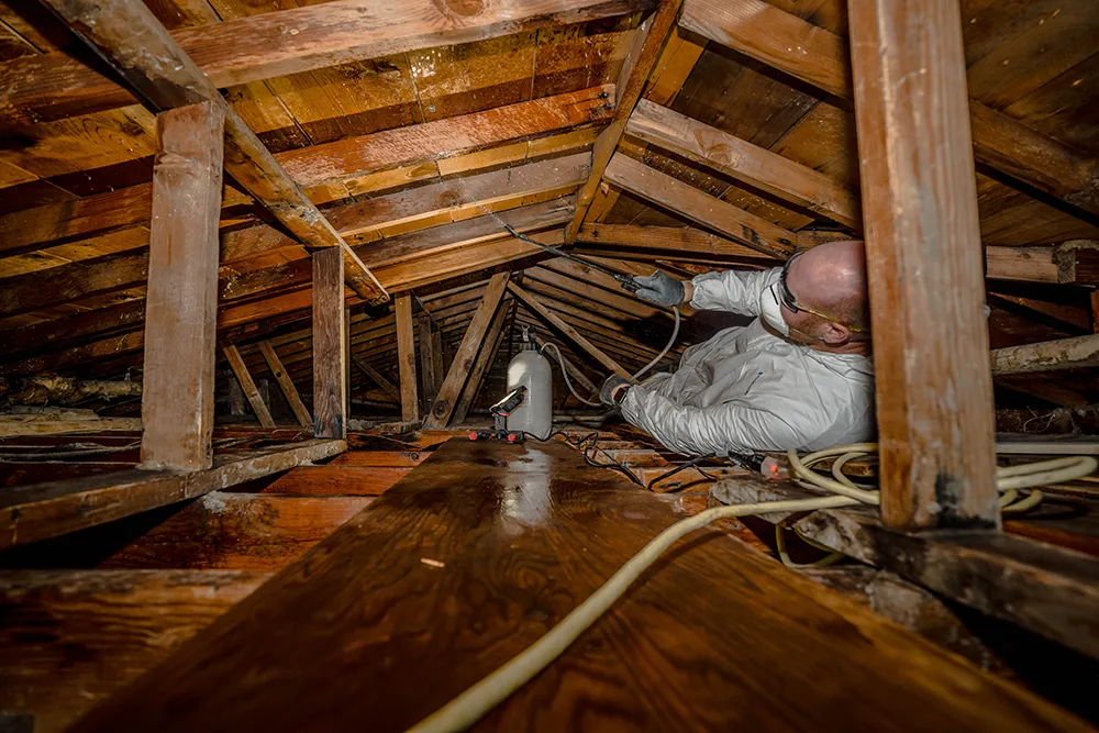 man spraying pesticide in an attic